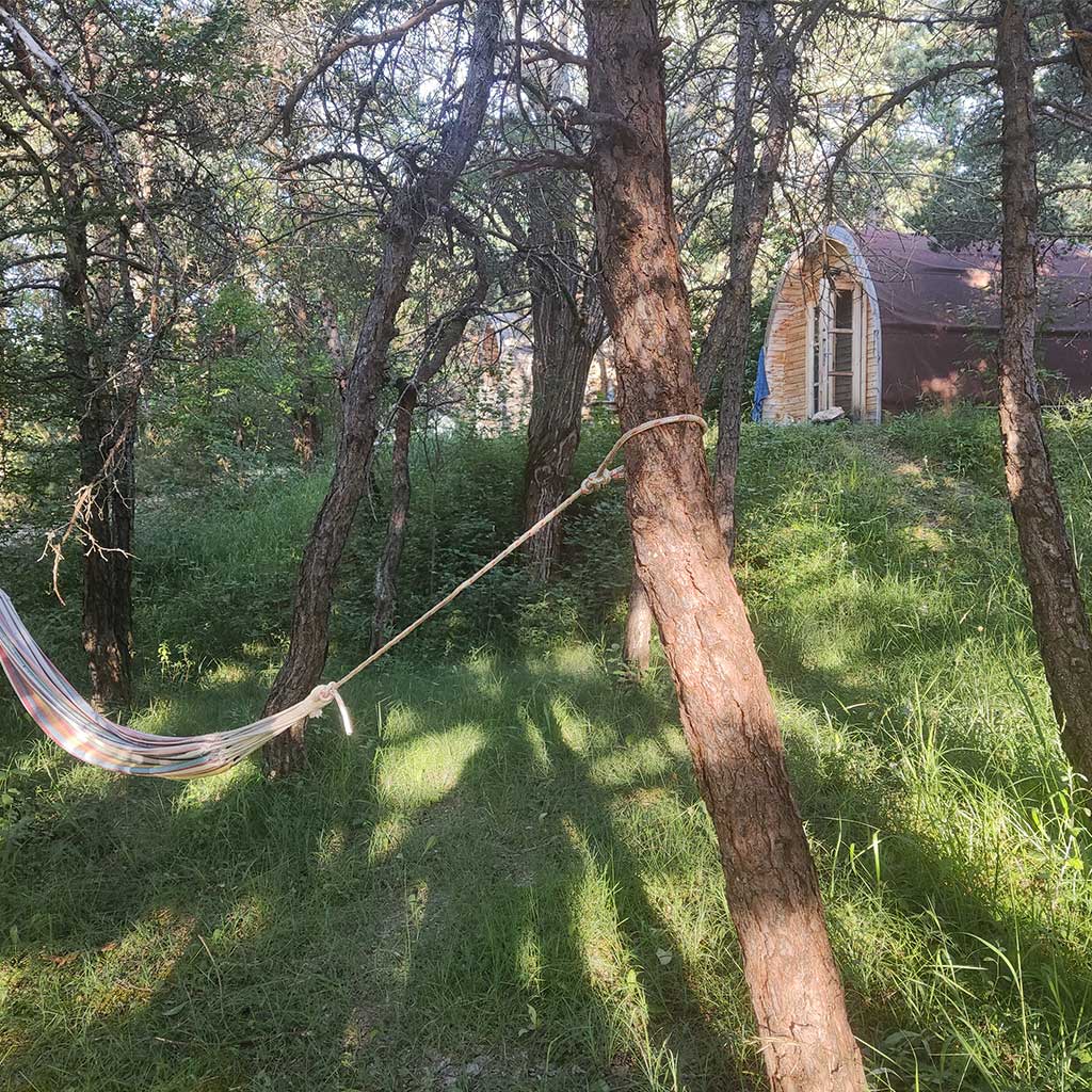 Vue dans le camping de la Chabannerie, entreprise chez Huguette, en pleine forêt à St Martin de Clelles.