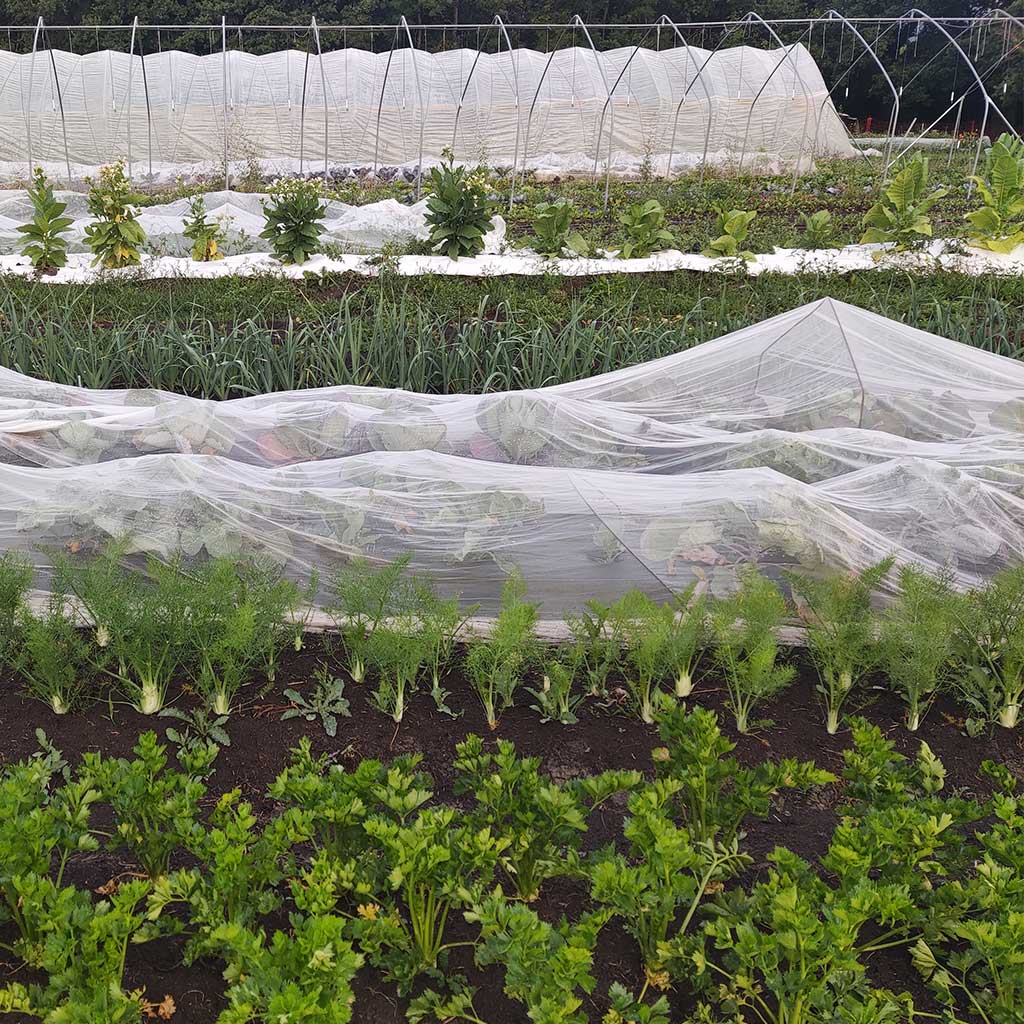 Les jardins de la colo au Percy, offrent un paysage en plusieurs plans avec la serre en fond.