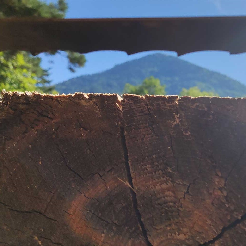 Vue de la préparation de la coupe de bois avec une scie mobile chez Forest Keeper, à Saint Maurice en Trièves.